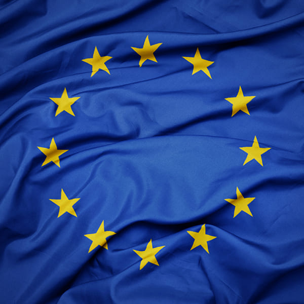Bandiera UNIONE EUROPEA